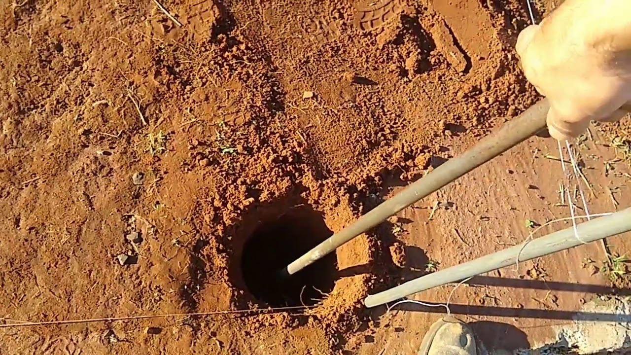 WhatsApp Image 2022-08-16 at 09.08.46.jpeg