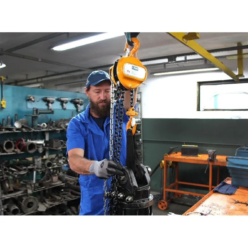 WhatsApp Image 2022-08-16 at 14.08.47.jpeg